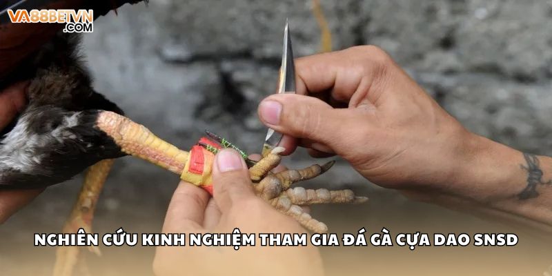 Nghiên cứu kinh nghiệm tham gia đá gà cựa dao VA88